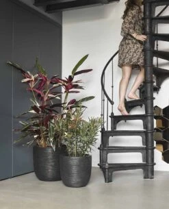 Capi Europe - Bloempot Bol Rib NL - 35x34 - Zwart - Voor Binnen En Buiten - KBLR932 23 Capi Europe - Bloempot Bol Rib NL - 35x34 - Zwart - Voor Binnen En Buiten - KBLR932 -Tuinbenodigdheden Bevordering 972x1200 2