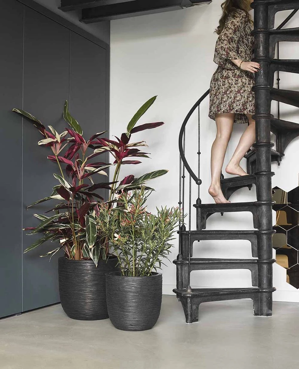 Capi Europe - Bloempot Bol Rib NL - 35x34 - Zwart - Voor Binnen En Buiten - KBLR932 7 Capi Europe - Bloempot Bol Rib NL - 35x34 - Zwart - Voor Binnen En Buiten - KBLR932 - Afbeelding 6