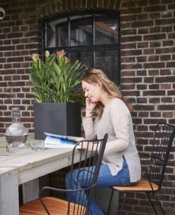 Capi Europe - Bloempot Vierkant Smooth NL - 50x50x50 - Zwart - Voor Binnen En Buiten - KBL904 -Tuinbenodigdheden Bevordering 983x1200 2